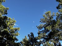 IMG_0746.JPEG