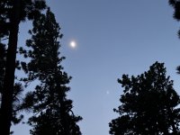 IMG_0752.JPEG