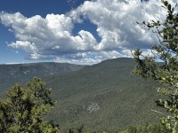 IMG_0770.JPEG