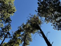 IMG_0780.JPEG