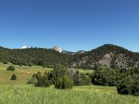 IMG_0796.JPEG