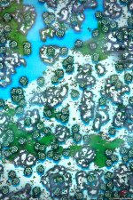 Snowy-Mountain-Path-Vol4-Gridded-52x78-MapPublic.jpg