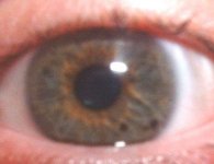 eye1a.jpg