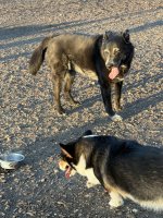 IMG_0081.jpeg