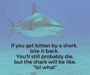 IMG_0506.jpeg