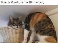 IMG_0518.jpeg