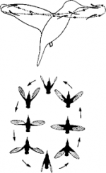 1754959446965.png