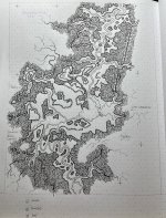 IMG_2534.jpeg