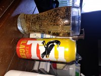 20250824_163245.jpg