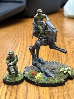 IMG_2744.jpeg