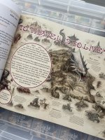 IMG_0501.jpeg