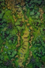 Forest-Rockslide-Gridded-26x39-MapPublic.jpg