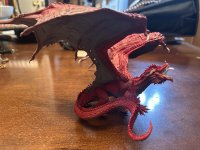 IMG_1263.jpeg