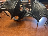 IMG_1268.jpeg
