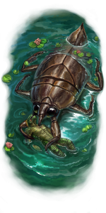 WaterBeetle_Dragonix.png