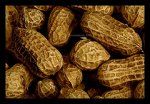 Peanuts.jpg