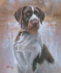 german-shorthair-pointer-dog-art-print-by-jim-killen-1432750559.jpg