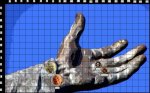 handofgodmap.jpg