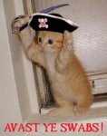 piratekitty02.jpg