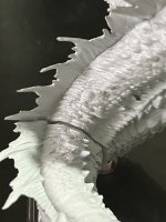 IMG_2813.jpeg