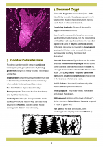 Abigails Wedding p3 v3.png