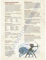 Companion Synergy.jpg