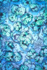 Snowy-Forest-Vol6-Gridded-26x39-MapPublic.jpg