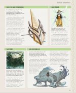 Screenshot_20260315_105616_Amazon Shopping.jpg