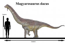 magyarosaurus_dacus_by_teratophoneus_dfhbdb1-pre.jpg