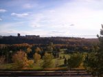 000_0095.jpg