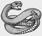 RCFG Amphisbaena.JPG