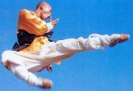 jumping side kick 2.jpg