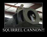 SquirrelCannon.jpg