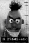 bertmug.jpg