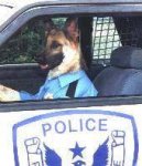 police_dog.jpg
