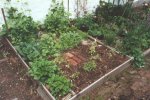Garden-Raised_Bed.JPG