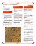4E02_Forest_1_Page_66.jpg