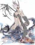 trnform2b.jpg