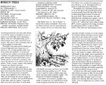 bohun tree.jpg