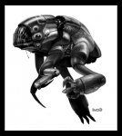 frog.jpg