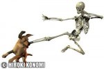 fightskeleton.jpg
