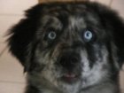TinySadie2.JPG