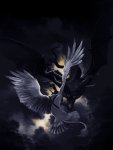 BlackDragon-2.jpg