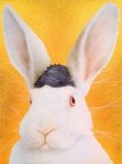 rabtoupe.jpg