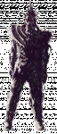 anshrik4.gif