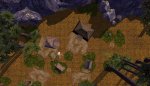 Forest Camp.jpg