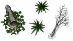 swamp-flora-01.png