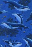 dolphins-whales1.jpg