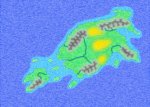 TotalMap2.jpg