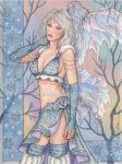 winter_solstice_fairy_elfwood.jpg